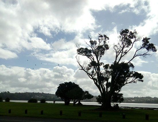 Kiwi Esplanade Walkway